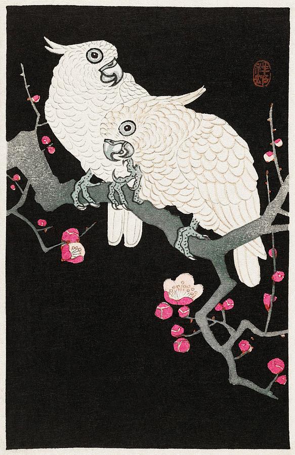 Ohara Koson Drawing - Two Cockatoo And Plum Blossom 1925 - by Bill Waterson