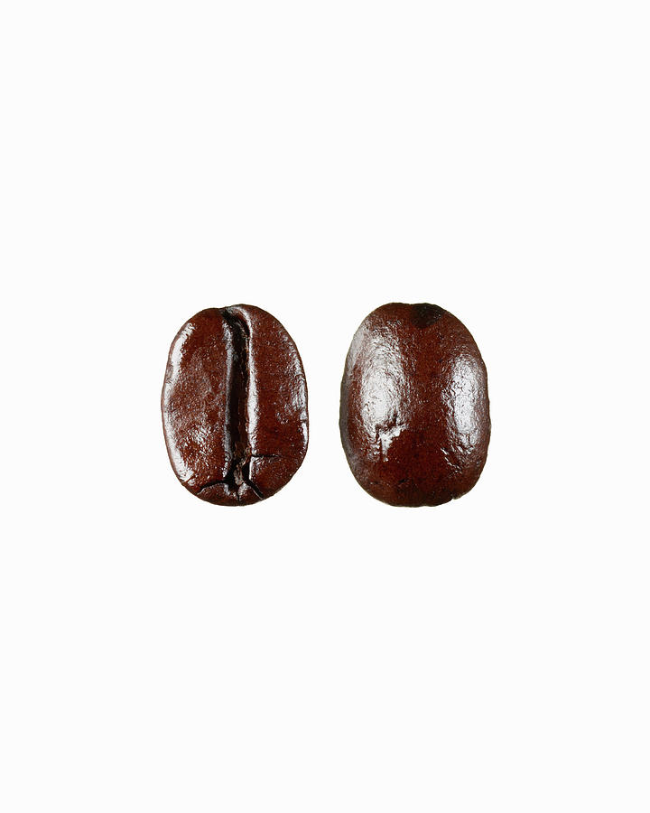 Two Coffee Beans On White Background Photograph by Maren Caruso