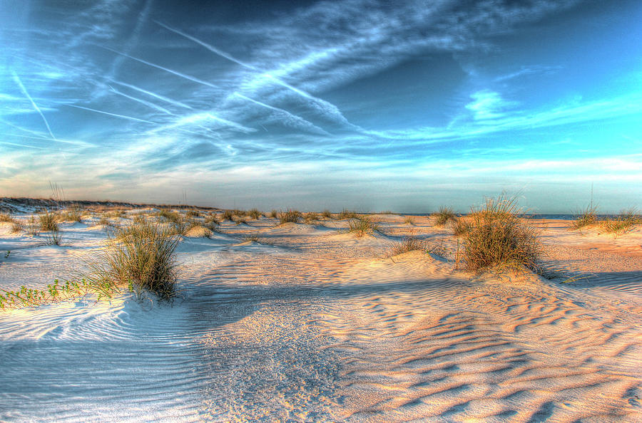 Two Color Florida Sand Photograph by Robert Goldwitz - Pixels