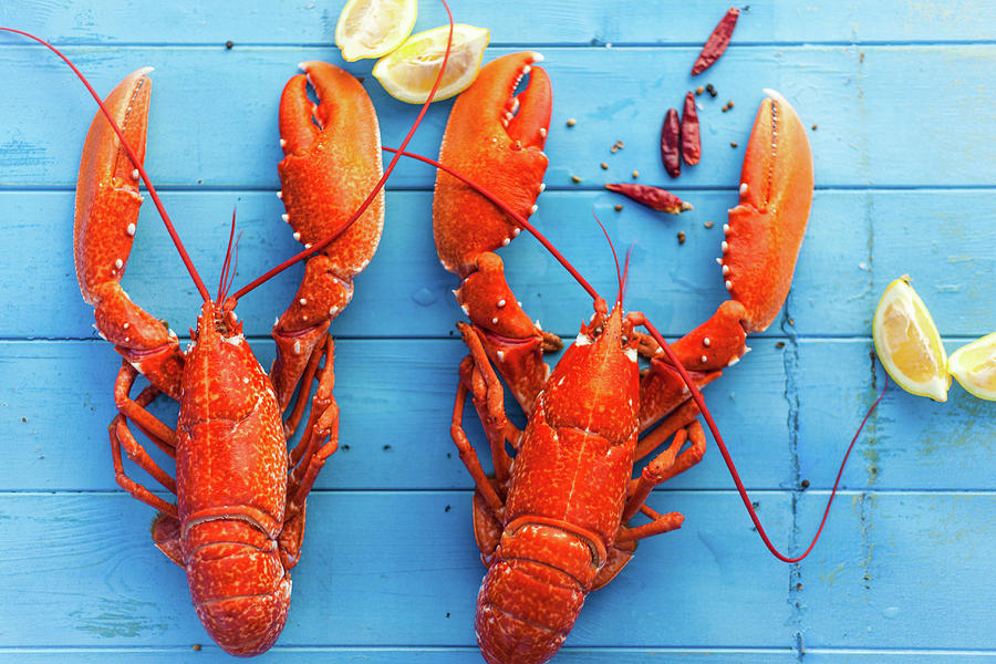 Two Cooked Lobsters With Lemon Wedges Photograph by Lara Jane Thorpe