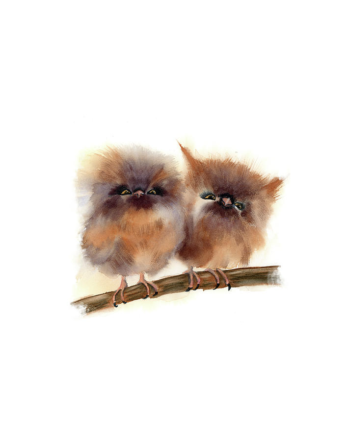 Owl Painting - Two Cute Owls by Paintis Passion