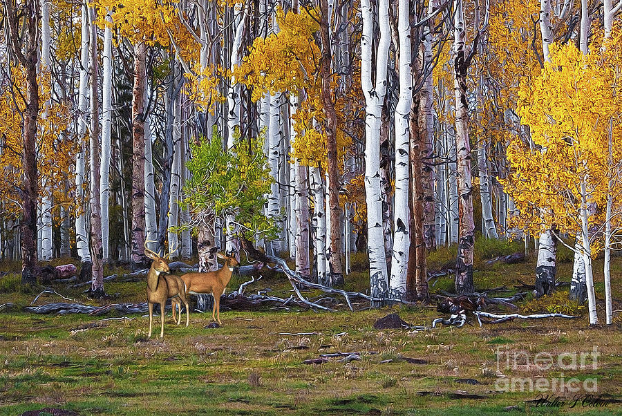 Two Deer in Aspen Forest Digital Art by Walter Colvin