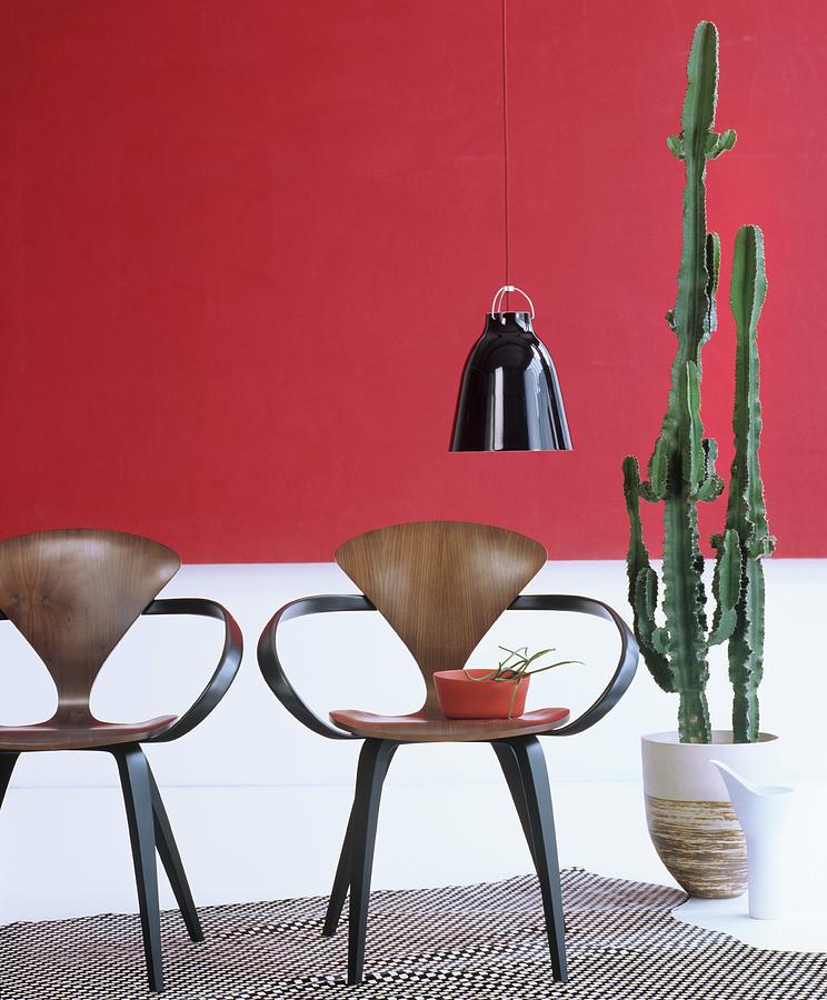 Two Designer Chairs Next To Cactus In Front Of Red And White Wall Photograph by Matteo Manduzio