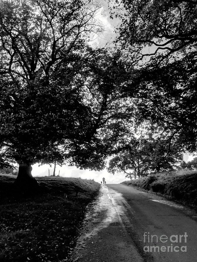 Two Dogs and Their Man in the Morning Black and White by Abbie Shores Two Dogs and Their Man in the Morning Black and White by Abbie Shores