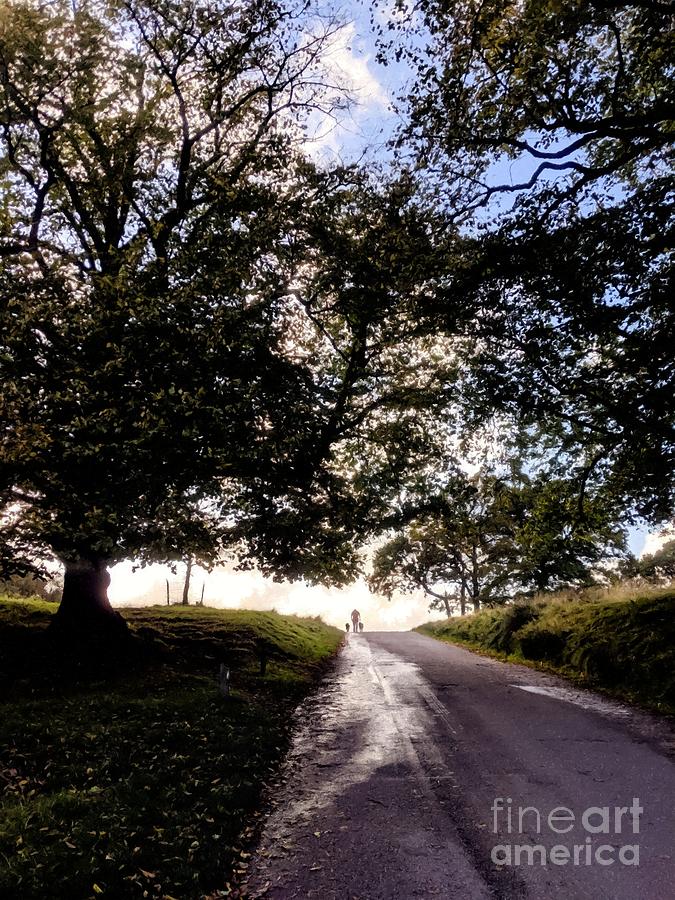 Two Dogs and Their Man in the Morning in Colour by Abbie Shores Two Dogs and Their Man in the Morning in Colour by Abbie Shores