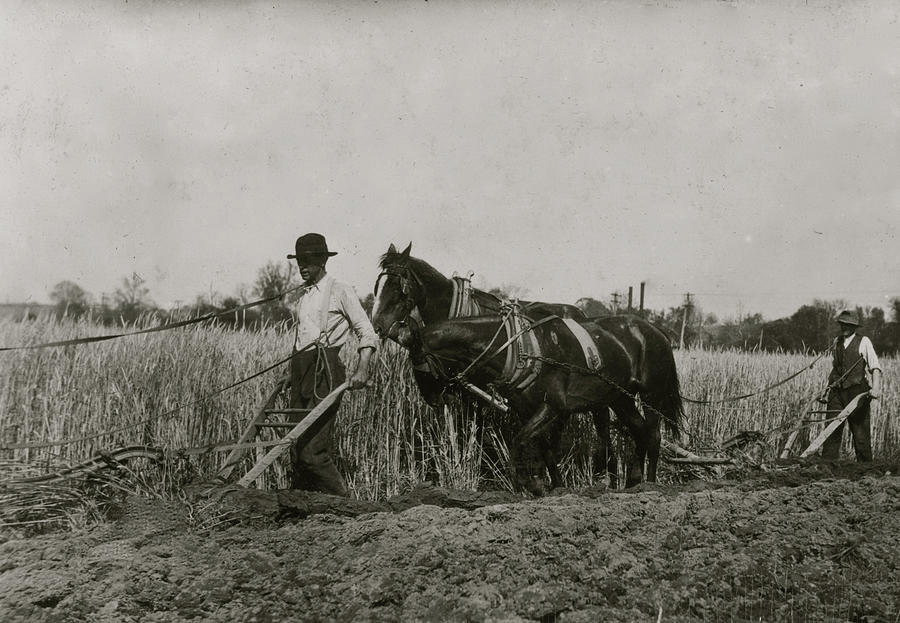 Two Farmers Behind Horses As They Pull A Plow Through A Field Painting   Two Farmers Behind Horses As They Pull A Plow Through A Field Unknown 