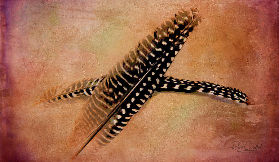 Two Feathers On Adobe Photograph by Rene Crystal