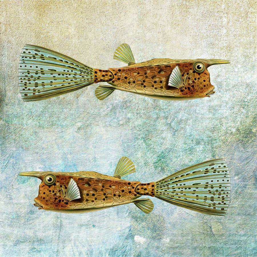 Two Fish Digital Art
