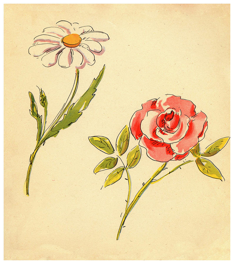 Two Flowers Painting by Romney Gay