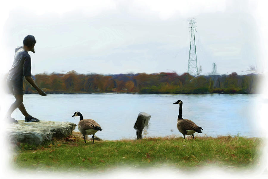 Two Geese Watching Digital Art by Sandra Js