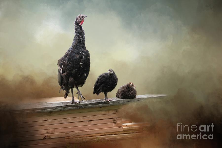 Chicken Photograph - Two Generations by Eva Lechner