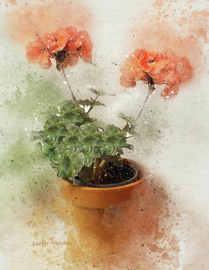 Two Geraniums by Peggy Cooper Two Geraniums by Peggy Cooper