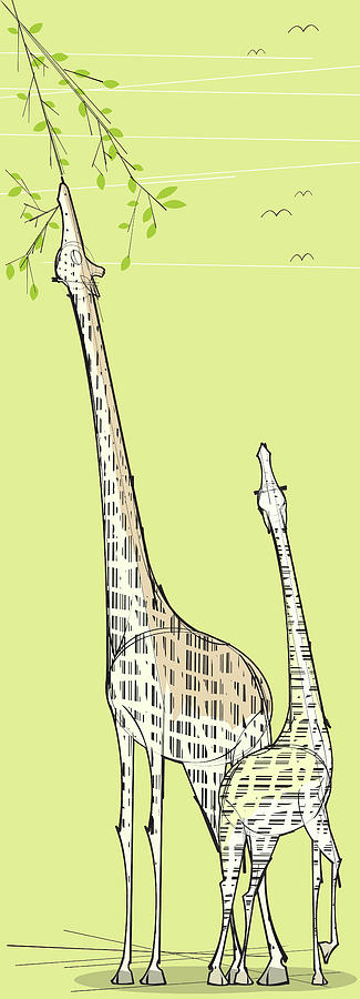 Two Giraffes Digital Art by Jcgwakefield