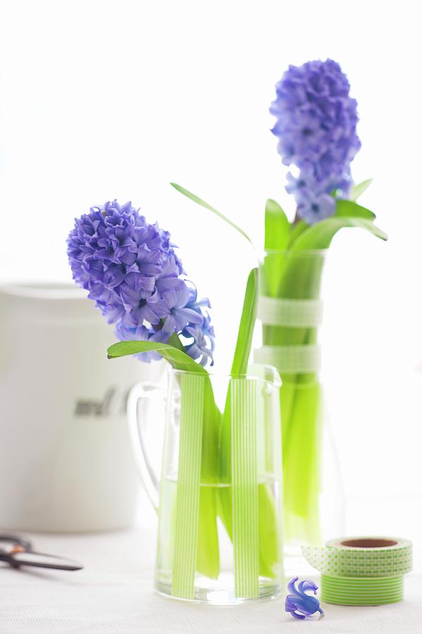 Two Glasses Decorated With Masking Tapes With Two Hyacinths Inside Photograph by Studio Lipov