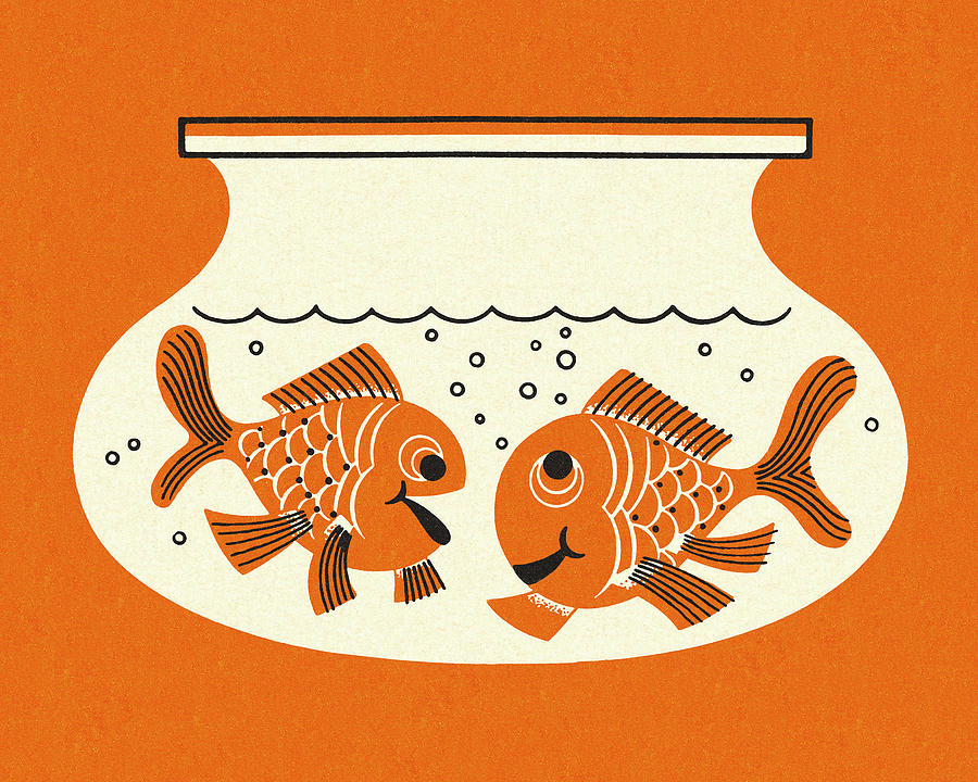 Fish Drawing - Two Goldfish in an Aquarium by CSA Images
