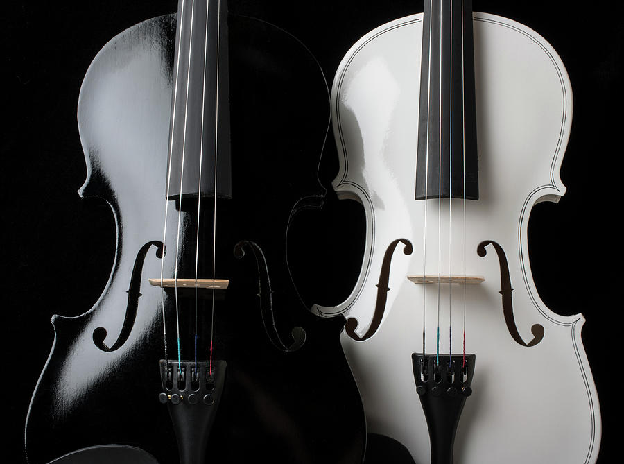 Two Graphic Violins Photograph by Garry Gay