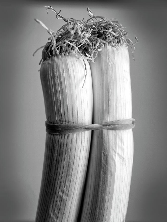 Two Green Onions Bound Together by Keith Dotson Two Green Onions Bound Together by Keith Dotson