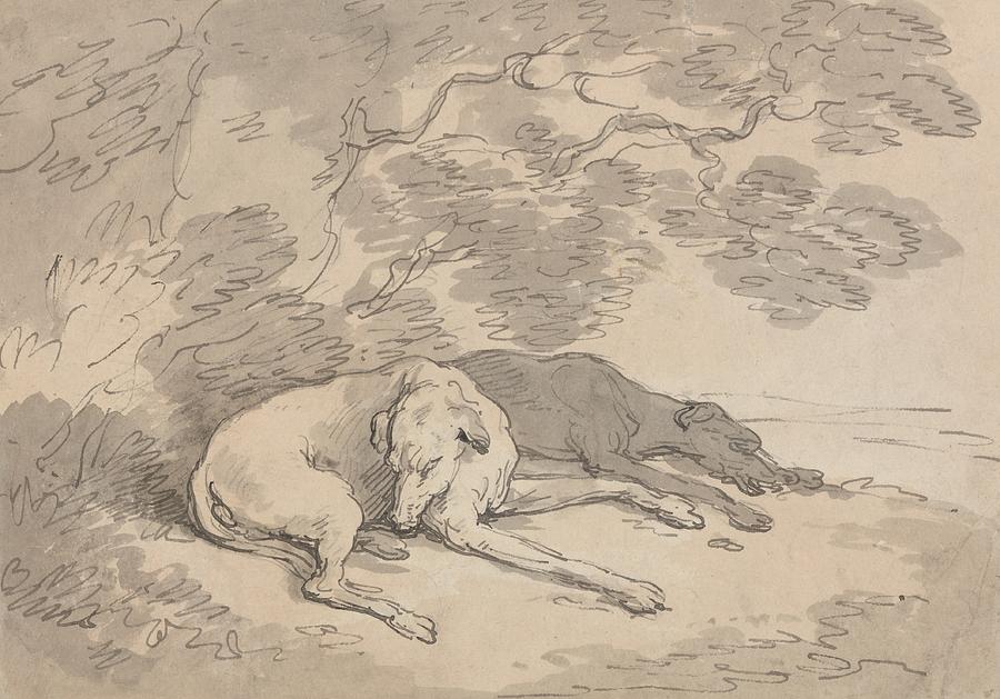 Two Greyhounds Lying under a Tree Drawing by Thomas Rowlandson