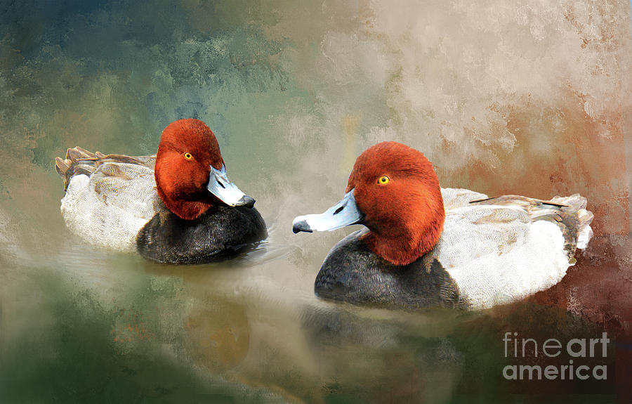 Two Handsome Redheads Photograph by Regina Geoghan
