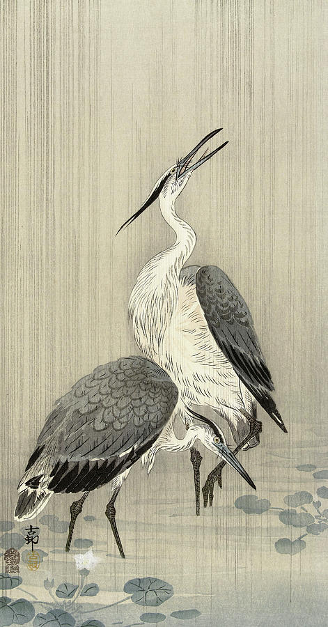 Two herons in the rain, 1910 Painting by Ohara Koson - Fine Art America