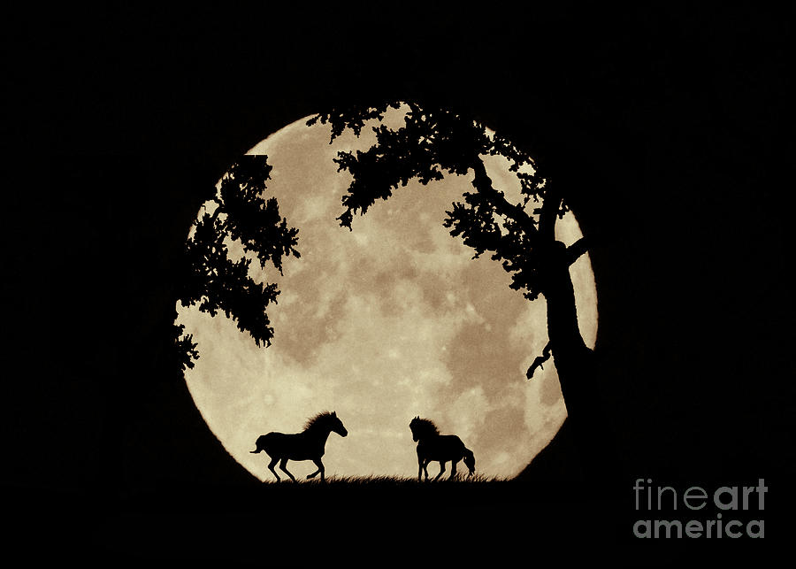 Two Horses in the Sepia Full Moon, Moon Struck Magic Photograph by Stephanie Laird