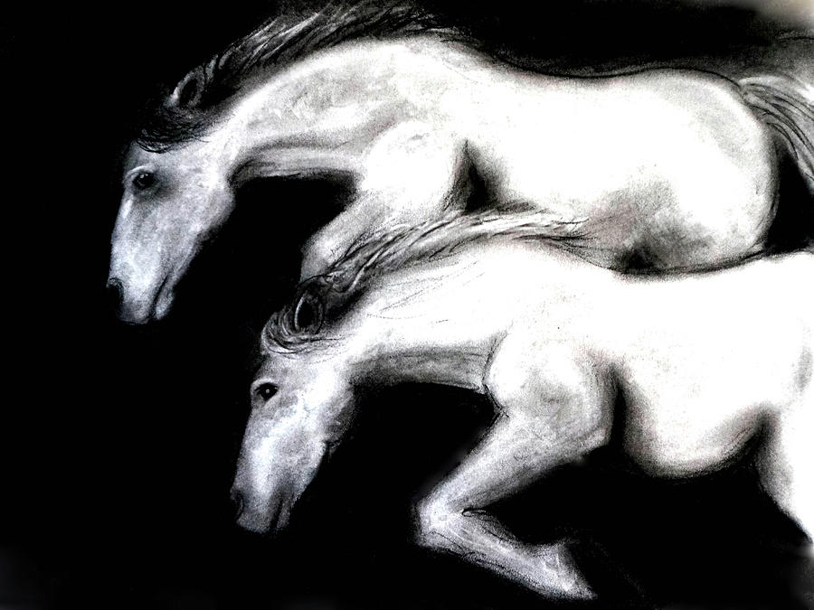 Two Horses Leaping Drawing by Katy Hawk