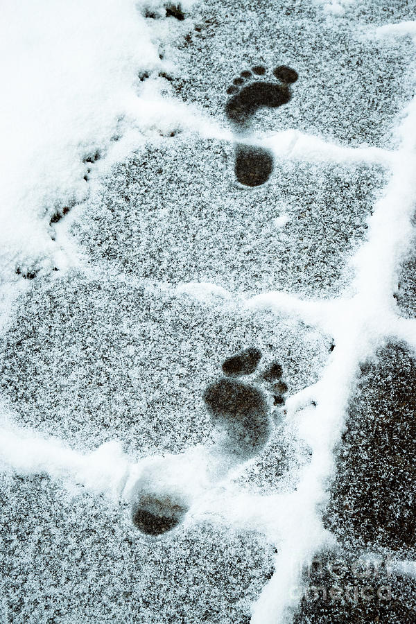 Two Imprints Of Bare Feet In The Snow Photograph by Jozef Jankola - Pixels