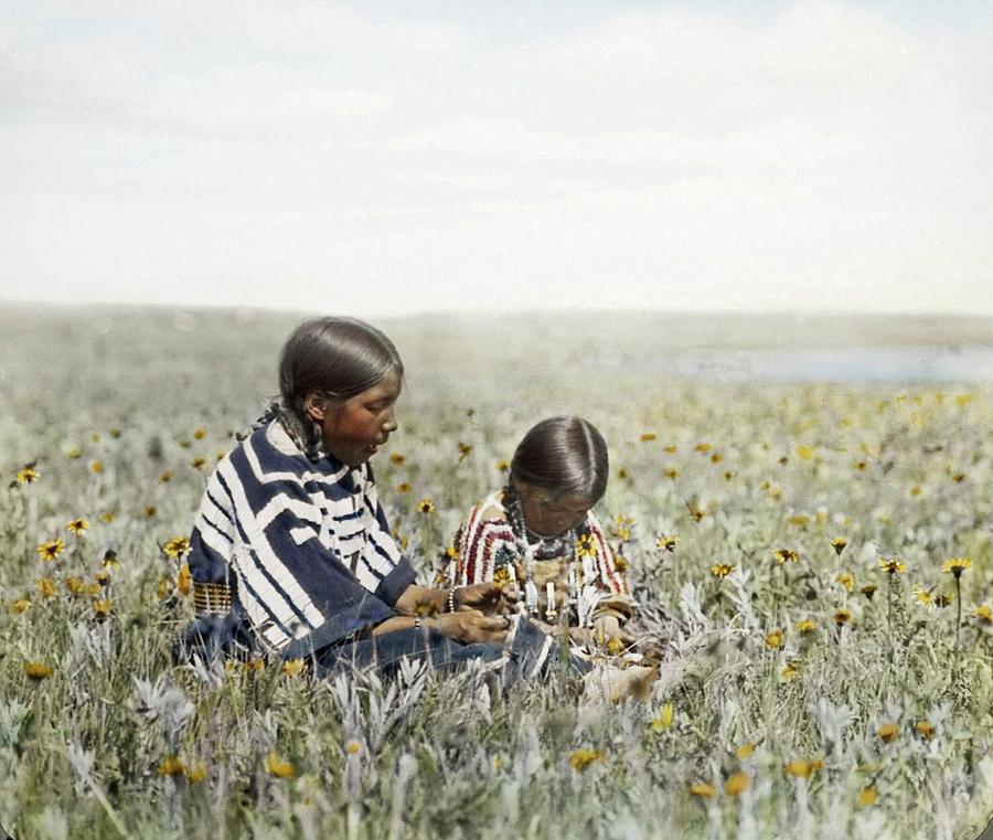 Two Indian girls seated in field of flowers by Walter McClintock Painting by Celestial Images