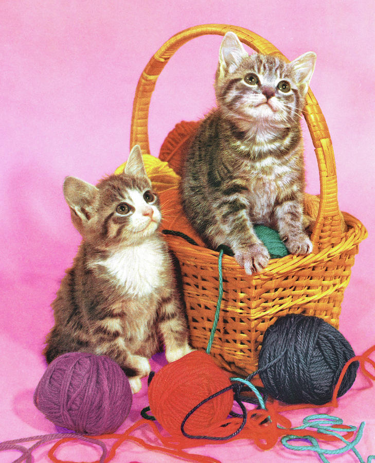 Vintage Drawing - Two Kittens in a Basket of Yarn by CSA Images