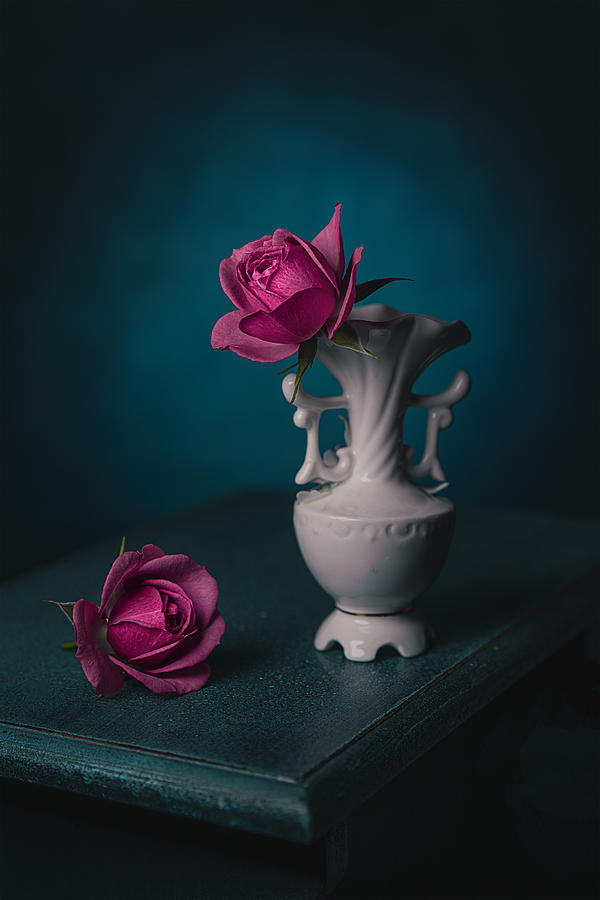 Rose Photograph - Two Lavender Veranda Roses by Lydia Jacobs