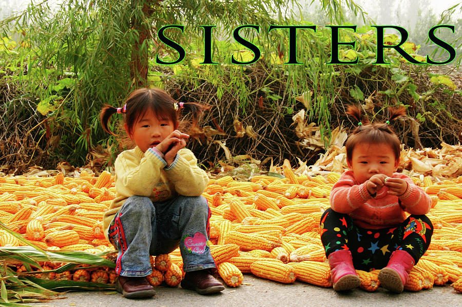 Happiness is having a Sister Photograph by Leslie Struxness