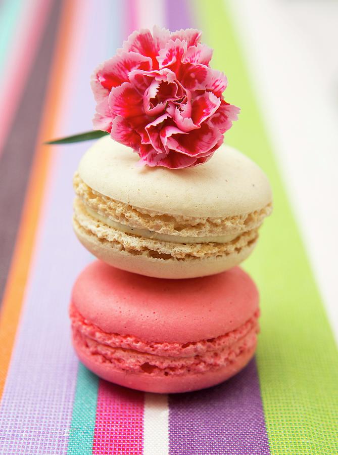 Two Macaroons And A Pink Photograph by Lutt, Carine