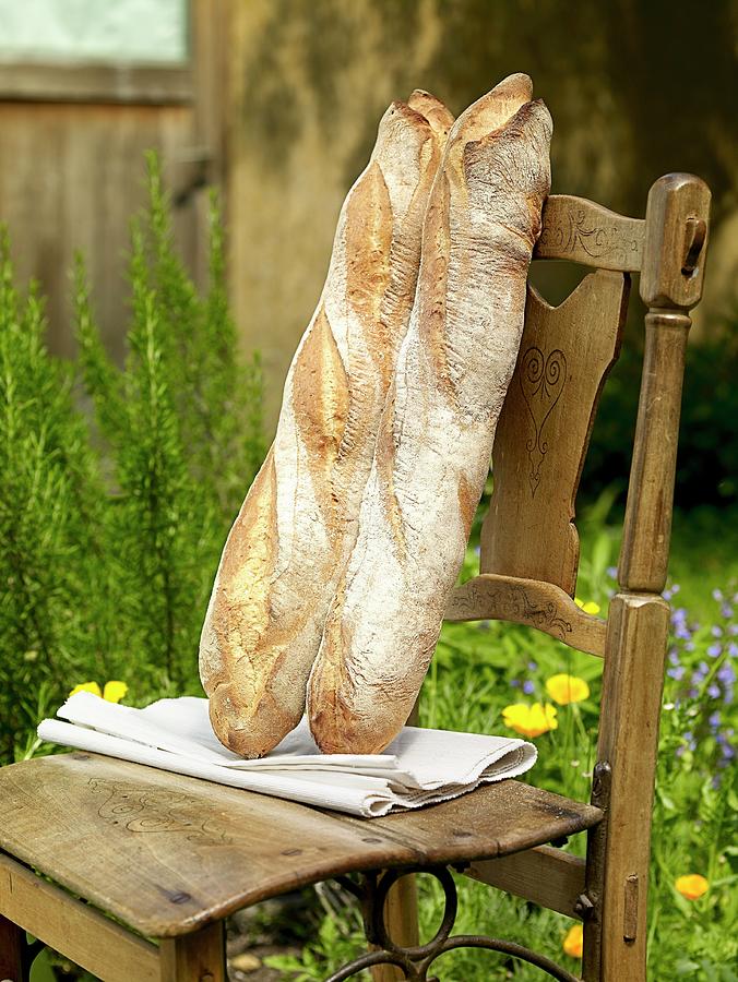 Two Milan Baguettes On A Wooden Chair In A Garden Photograph by Till Melchior