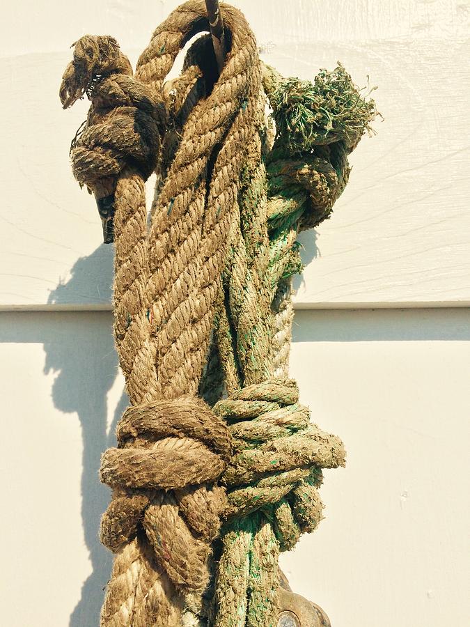 Two Nautical Knots Photograph by Debra Grace Addison