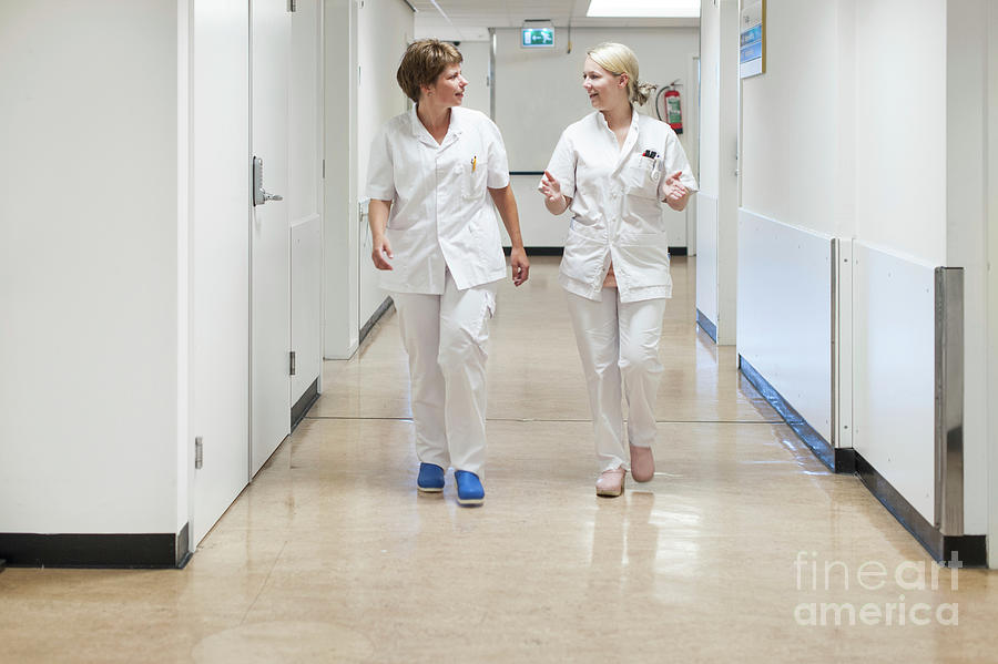 Two Nurses Walking Down The Corridor Of A Nursing Ward Photograph by Arno Massee/science Photo Library
