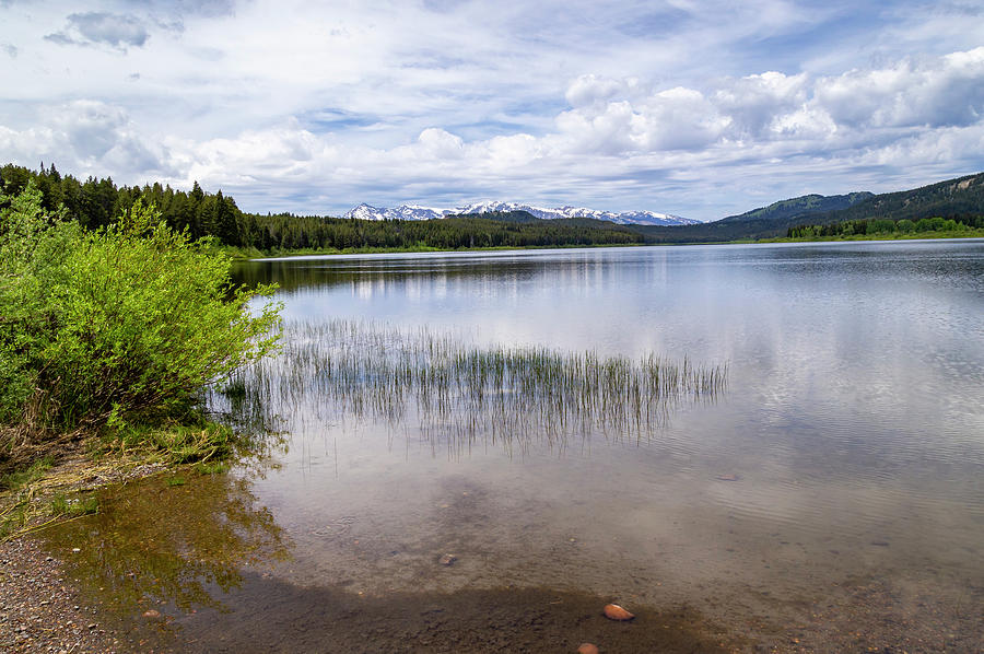 Two Ocean Lake 2 by Michael Chatt Two Ocean Lake 2 by Michael Chatt