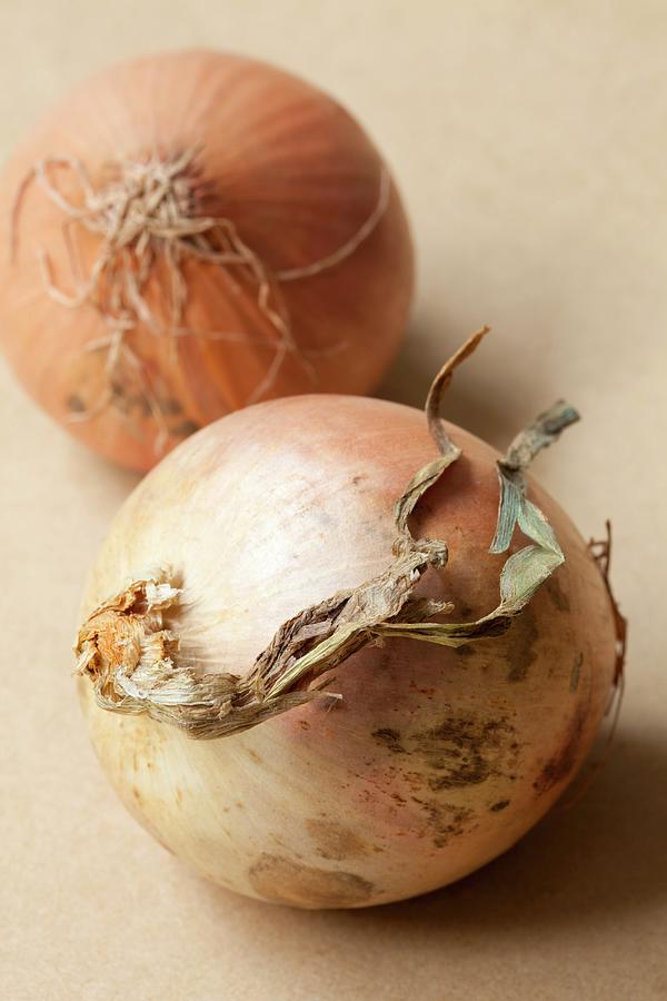 Two Organic Onions Photograph by Hilde Mche