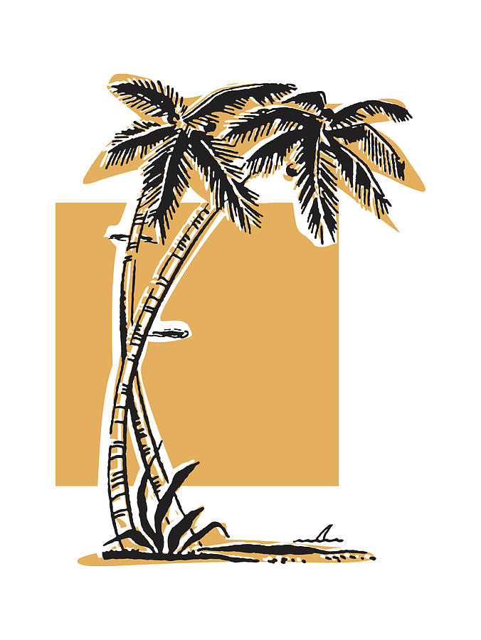 Nature Drawing - Two Palm Trees by CSA Images