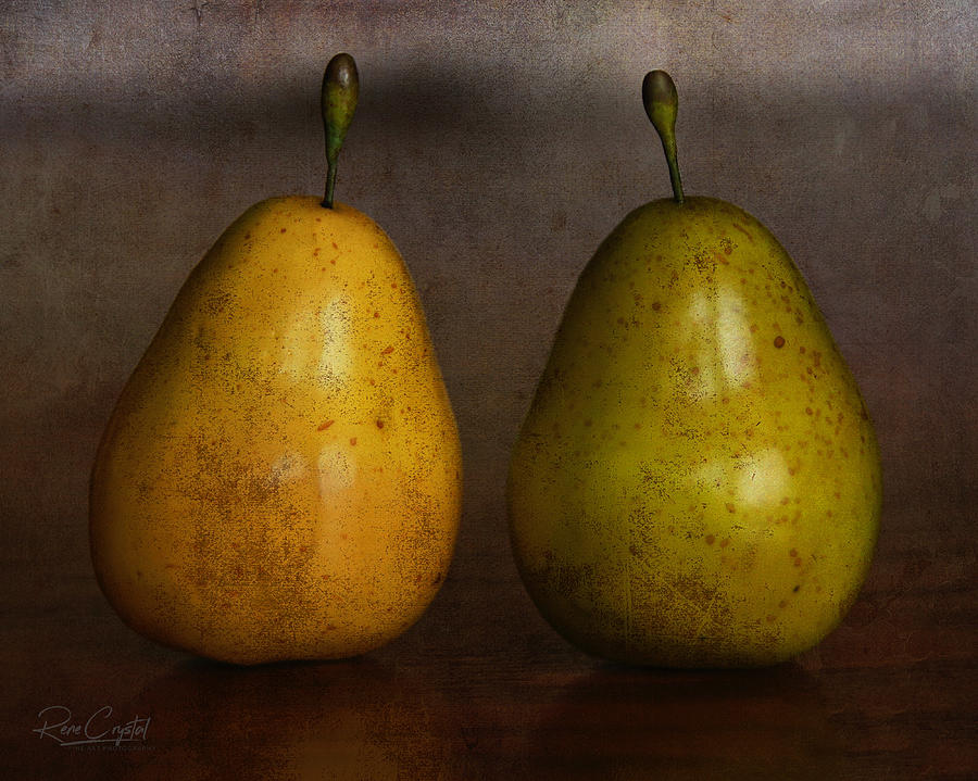 Two Pears Are We Photograph by Rene Crystal