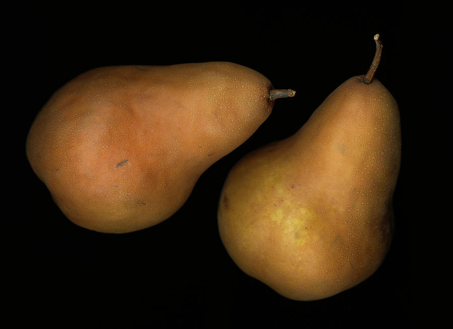 Two Pears Photograph by John Grant