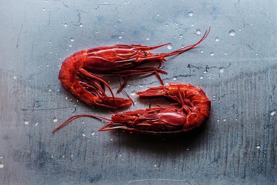 Two Red Prawns On A Grey Surface Photograph by Miriam Garcia