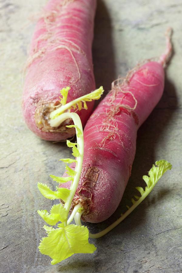 Two Red Radishes Photograph by Hilde Mche