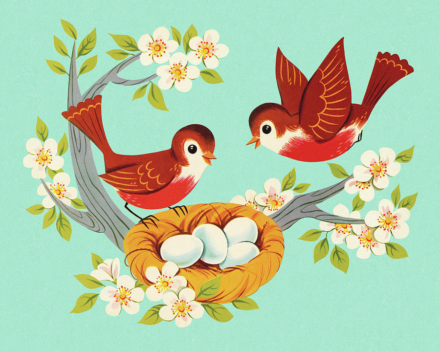 Nature Drawing - Two Robins and A Nest by CSA Images