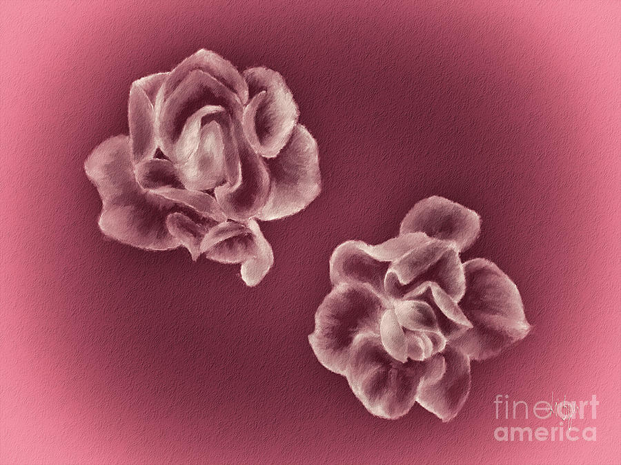 Two Roses Digital Art by Lois Bryan