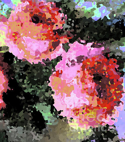 Two Roses Palette Photograph by Corinne Carroll