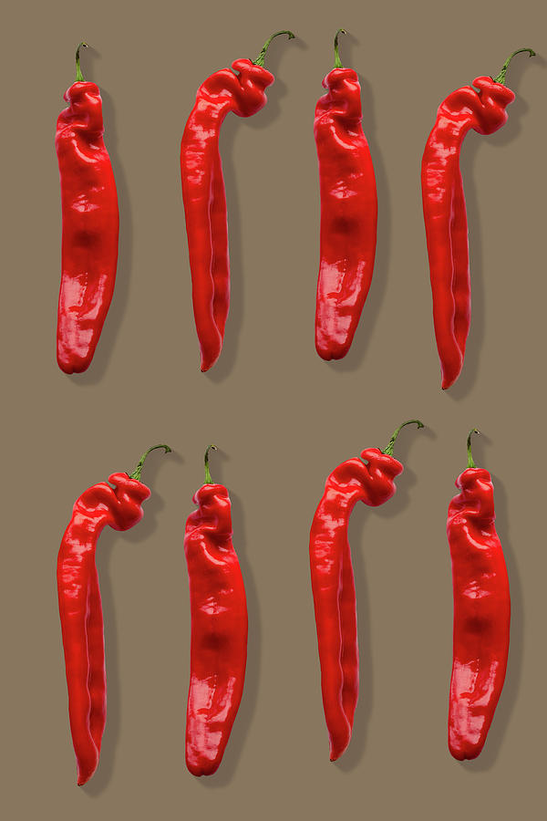 Two Rows Of Red Chillies On A Brown Background Photograph by Roberto Rabe
