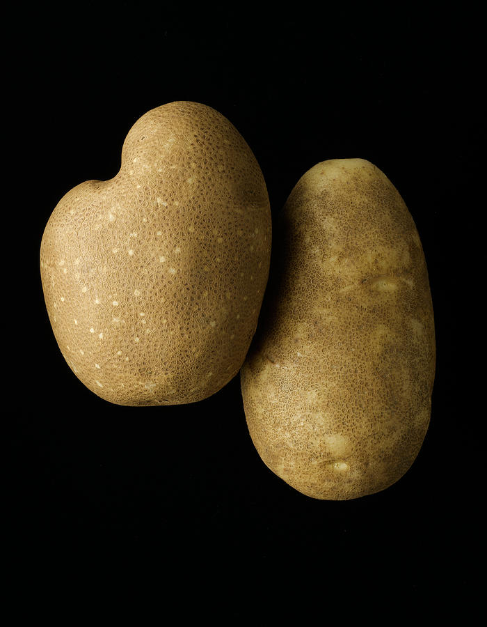 Two Russet Potatoes On Black Photograph by Howard Bjornson