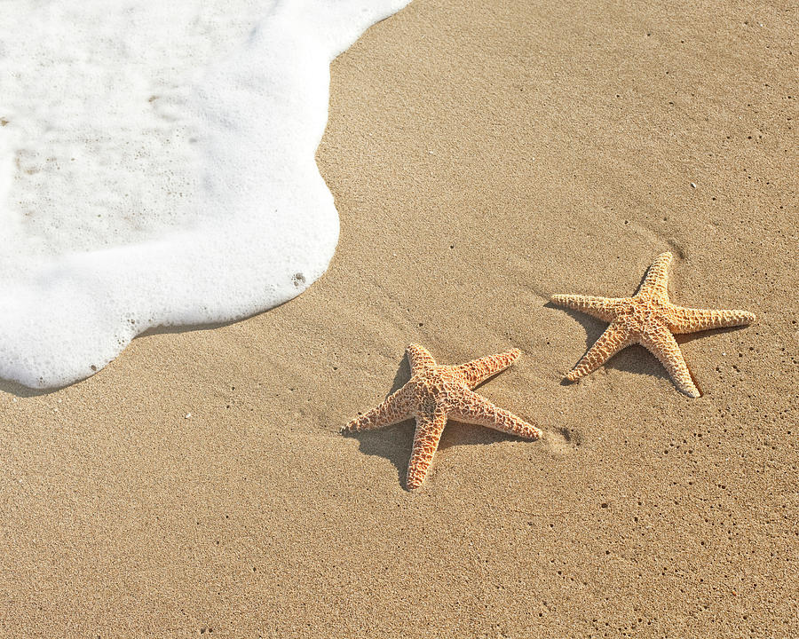 Two Sea Stars On Sand By Water Photograph by Siri Stafford