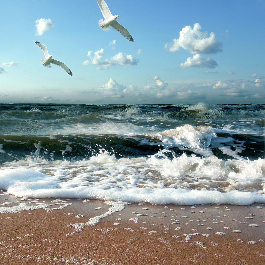 Two Seagulls Over Sea Waves by Olja Merker