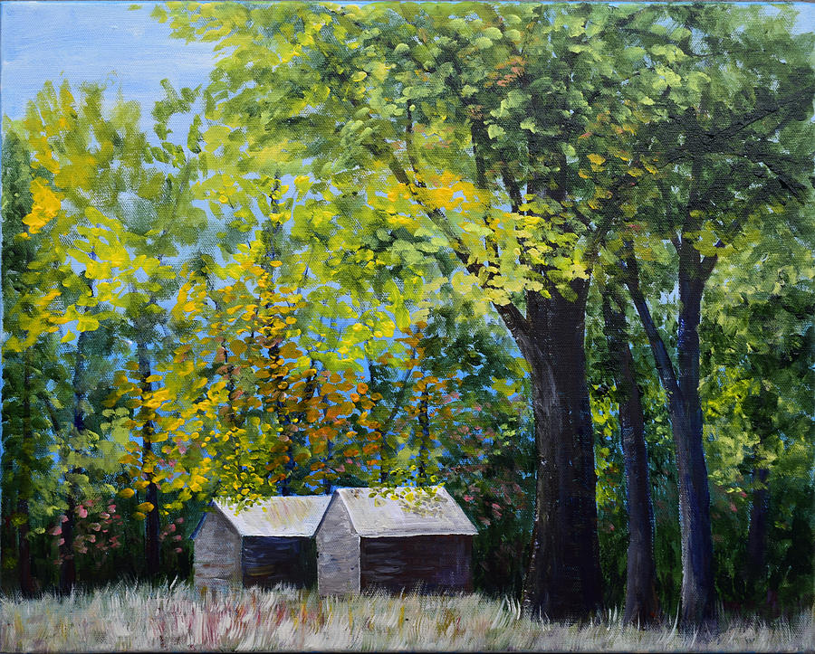 Two Sheds in the Trees by Alexis Baranek Two Sheds in the Trees by Alexis Baranek
